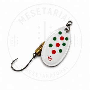 Cucharilla Mesetaria Italiana