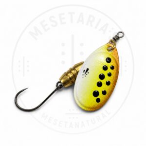Cucharilla Mesetaria Brown Trout