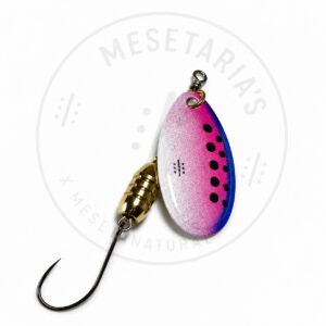 Cucharilla Mesetaria Rainbow Trout